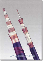 DJFP•DJFPVP•DJFPV•DJFFP•DJFPF•耐高温计算机电缆
