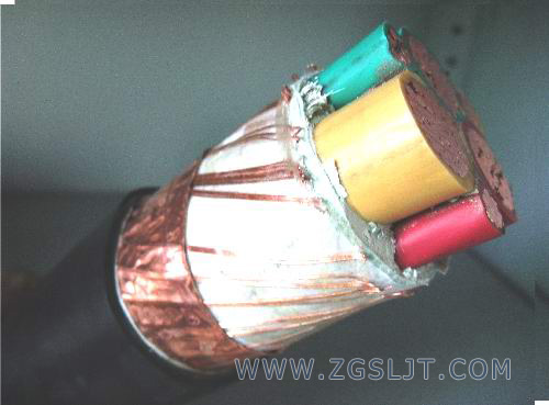 变频器用主回路电力电缆