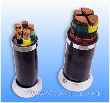 氟塑料绝缘耐高温电力电缆FF46－3×185＋1×95