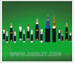 耐高温(阻燃)电力电缆◆FF22 (ZR)-FG (ZR)-FV22