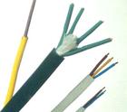硅橡胶绝缘丁腈复合物护套控制电缆